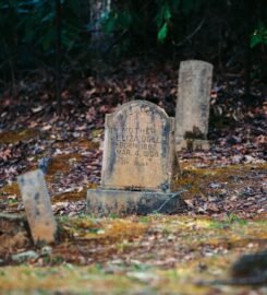 BOWMAN FAMILY SERVICES