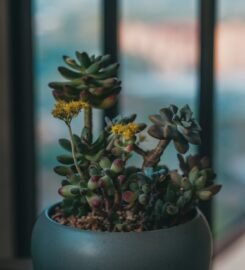 Historic Wedding Venue